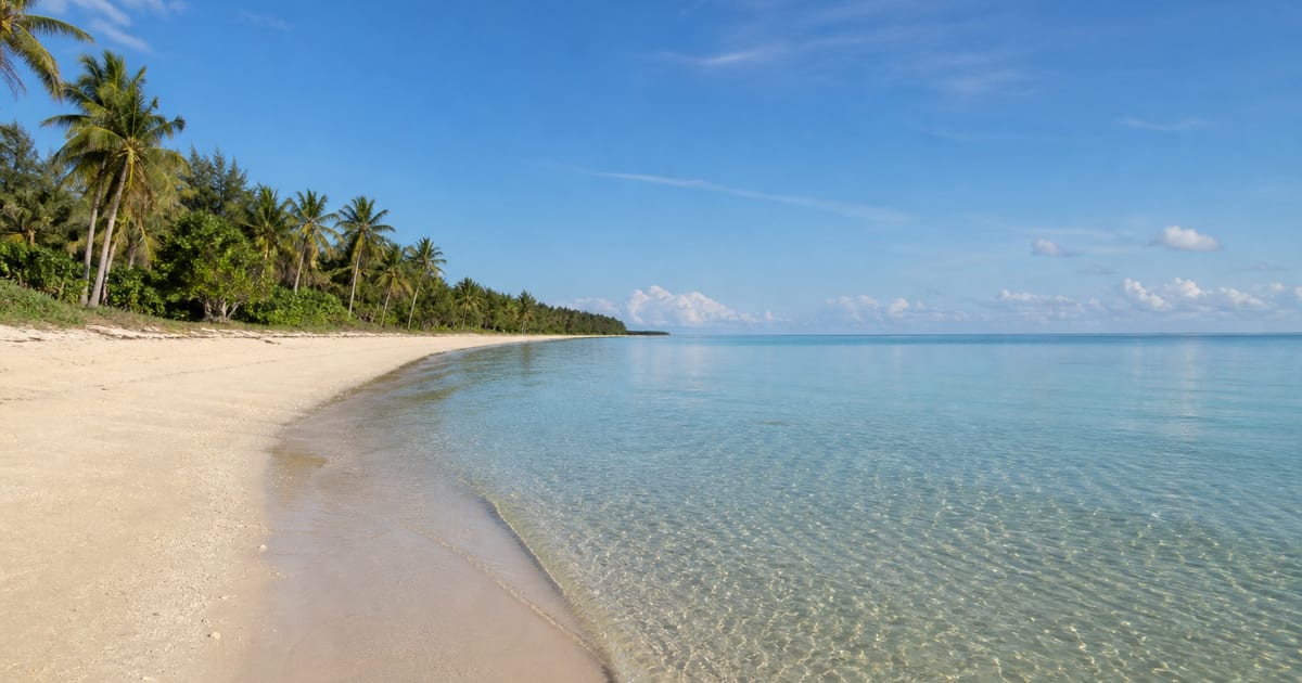 Calm clear water and a palm-lined white-sand beach in Anda, Bohol