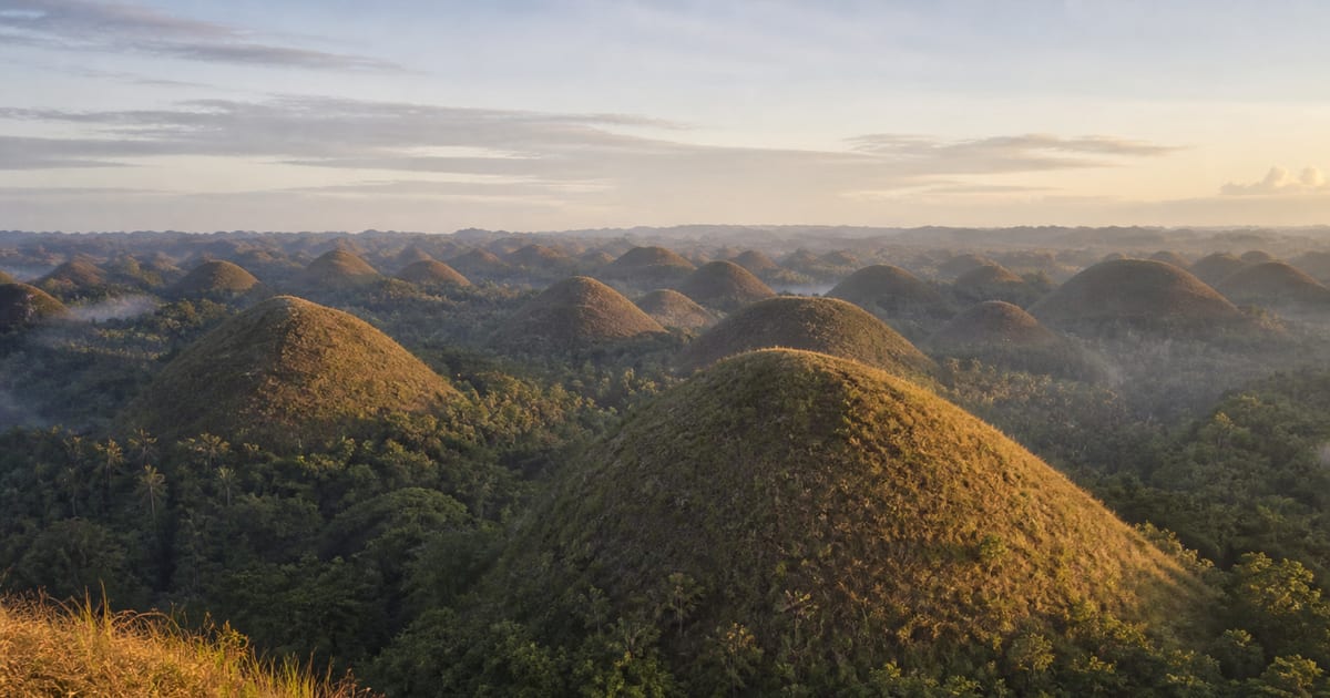 Rounded Chocolate Hills receding across the landscape of interior Bohol at sunrise
